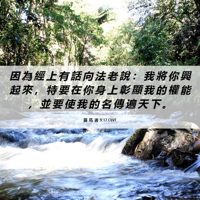 Picture 06 - 羅 馬 書 9:17 CUVT - 因 為 經 上 有 話 向 法 老 說 ： 我 - Bible Verse Picture