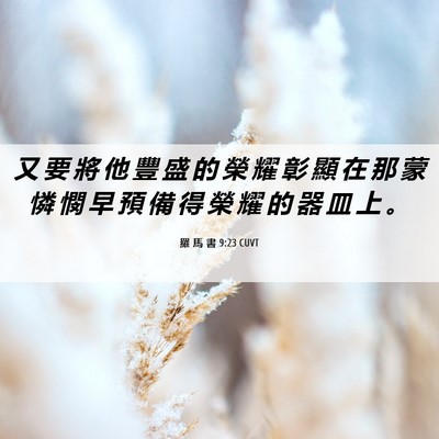 Picture 06 - 羅 馬 書 9:23 CUVT - 又 要 將 他 豐 盛 的 榮 耀 彰 顯 在 - Bible Verse Picture