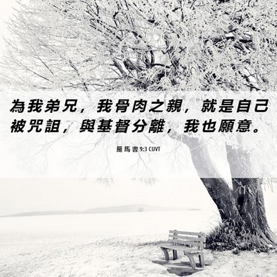 Picture 06 - 羅 馬 書 9:3 CUVT - 為 我 弟 兄 ， 我 骨 肉 之 親 ， 就 - Bible Verse Picture