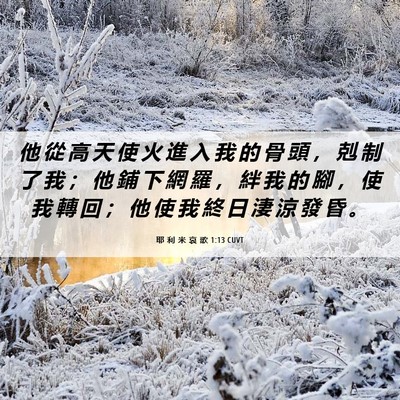 Picture 06 - 耶 利 米 哀 歌 1:13 CUVT - 他 從 高 天 使 火 進 入 我 的 骨 頭 - Bible Verse Picture