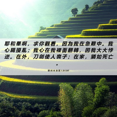 Picture 06 - 耶 利 米 哀 歌 1:20 CUVT - 耶 和 華 啊 ， 求 你 觀 看 ， 因 為 - Bible Verse Picture