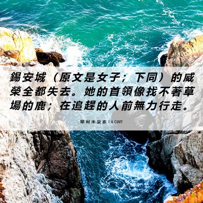 Picture 06 - 耶 利 米 哀 歌 1:6 CUVT - 錫 安 城 （ 原 文 是 女 子 ； 下 同 - Bible Verse Picture