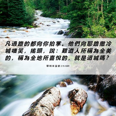 Picture 06 - 耶 利 米 哀 歌 2:15 CUVT - 凡 過 路 的 都 向 你 拍 掌 。 他 們 - Bible Verse Picture