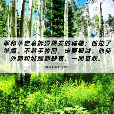 Picture 06 - 耶 利 米 哀 歌 2:8 CUVT - 耶 和 華 定 意 拆 毀 錫 安 的 城 牆 - Bible Verse Picture
