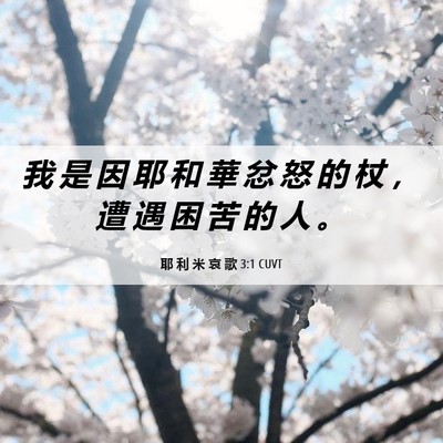 Picture 06 - 耶 利 米 哀 歌 3:1 CUVT - 我 是 因 耶 和 華 忿 怒 的 杖 ， 遭 - Bible Verse Picture