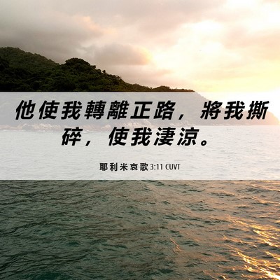 Picture 06 - 耶 利 米 哀 歌 3:11 CUVT - 他 使 我 轉 離 正 路 ， 將 我 撕 碎 - Bible Verse Picture