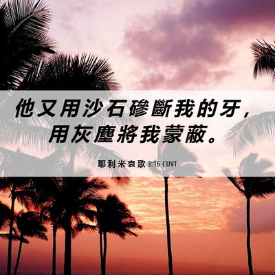 Picture 06 - 耶 利 米 哀 歌 3:16 CUVT - 他 又 用 沙 石 磣 斷 我 的 牙 ， 用 - Bible Verse Picture