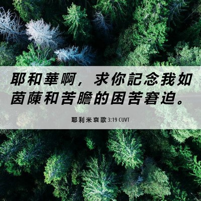 Picture 06 - 耶 利 米 哀 歌 3:19 CUVT - 耶 和 華 啊 ， 求 你 記 念 我 如 茵 - Bible Verse Picture