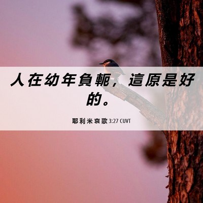 Picture 06 - 耶 利 米 哀 歌 3:27 CUVT - 人 在 幼 年 負 軛 ， 這 原 是 好 的 - Bible Verse Picture