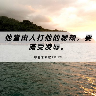 Picture 06 - 耶 利 米 哀 歌 3:30 CUVT - 他 當 由 人 打 他 的 腮 頰 ， 要 滿 - Bible Verse Picture