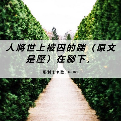 Picture 06 - 耶 利 米 哀 歌 3:34 CUVT - 人 將 世 上 被 囚 的 踹 （ 原 文 是 - Bible Verse Picture