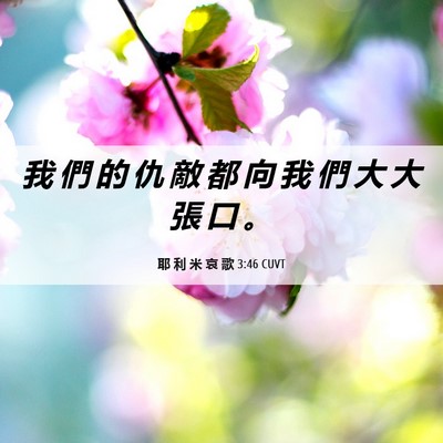 Picture 06 - 耶 利 米 哀 歌 3:46 CUVT - 我 們 的 仇 敵 都 向 我 們 大 大 張 - Bible Verse Picture