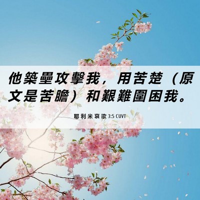 Picture 06 - 耶 利 米 哀 歌 3:5 CUVT - 他 築 壘 攻 擊 我 ， 用 苦 楚 （ 原 - Bible Verse Picture