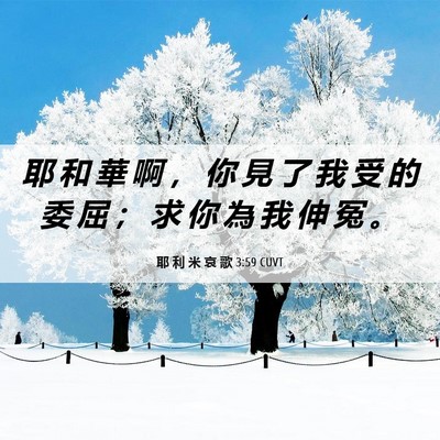Picture 06 - 耶 利 米 哀 歌 3:59 CUVT - 耶 和 華 啊 ， 你 見 了 我 受 的 委 - Bible Verse Picture