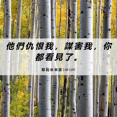 Picture 06 - 耶 利 米 哀 歌 3:60 CUVT - 他 們 仇 恨 我 ， 謀 害 我 ， 你 都 - Bible Verse Picture