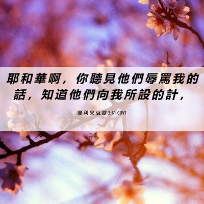 Picture 06 - 耶 利 米 哀 歌 3:61 CUVT - 耶 和 華 啊 ， 你 聽 見 他 們 辱 罵 - Bible Verse Picture