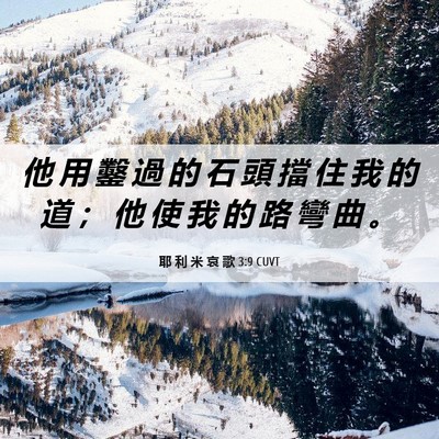 Picture 06 - 耶 利 米 哀 歌 3:9 CUVT - 他 用 鑿 過 的 石 頭 擋 住 我 的 道 - Bible Verse Picture