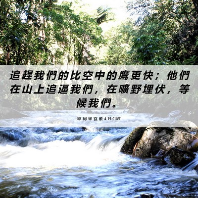 Picture 06 - 耶 利 米 哀 歌 4:19 CUVT - 追 趕 我 們 的 比 空 中 的 鷹 更 快 - Bible Verse Picture