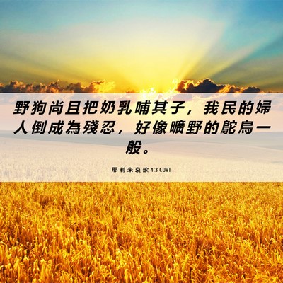 Picture 06 - 耶 利 米 哀 歌 4:3 CUVT - 野 狗 尚 且 把 奶 乳 哺 其 子 ， 我 - Bible Verse Picture