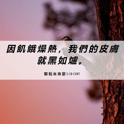 Picture 06 - 耶 利 米 哀 歌 5:10 CUVT - 因 飢 餓 燥 熱 ， 我 們 的 皮 膚 就 - Bible Verse Picture