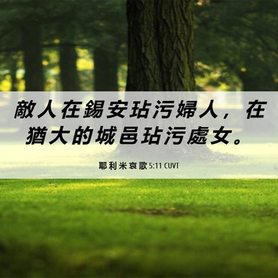 Picture 06 - 耶 利 米 哀 歌 5:11 CUVT - 敵 人 在 錫 安 玷 污 婦 人 ， 在 猶 - Bible Verse Picture