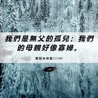 Picture 06 - 耶 利 米 哀 歌 5:3 CUVT - 我 們 是 無 父 的 孤 兒 ； 我 們 的 - Bible Verse Picture