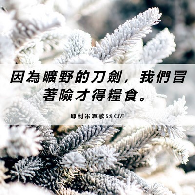 Picture 06 - 耶 利 米 哀 歌 5:9 CUVT - 因 為 曠 野 的 刀 劍 ， 我 們 冒 著 - Bible Verse Picture