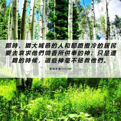 Picture 06 - 耶 利 米 書 11:12 CUVT - 那 時 ， 猶 大 城 邑 的 人 和 耶 路 - Bible Verse Picture
