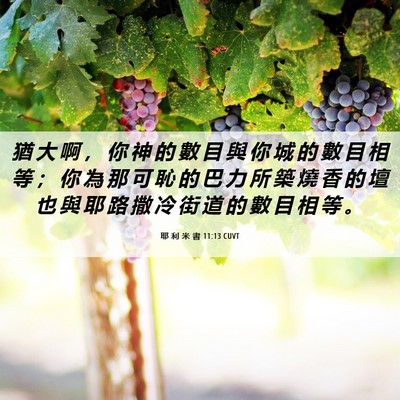 Picture 06 - 耶 利 米 書 11:13 CUVT - 猶 大 啊 ， 你 神 的 數 目 與 你 城 - Bible Verse Picture