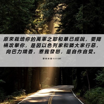 Picture 06 - 耶 利 米 書 11:17 CUVT - 原 來 栽 培 你 的 萬 軍 之 耶 和 華 - Bible Verse Picture