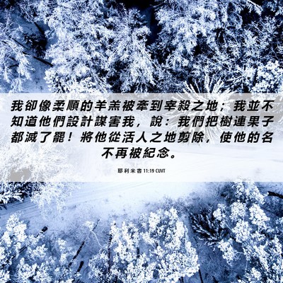 Picture 06 - 耶 利 米 書 11:19 CUVT - 我 卻 像 柔 順 的 羊 羔 被 牽 到 宰 - Bible Verse Picture