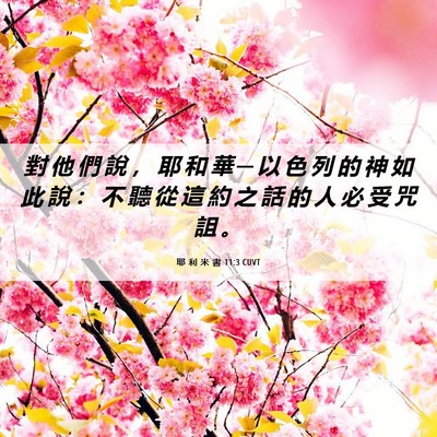 Picture 06 - 耶 利 米 書 11:3 CUVT - 對 他 們 說 ， 耶 和 華 ─ 以 色 列 - Bible Verse Picture