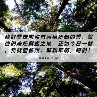 Picture 06 - 耶 利 米 書 11:5 CUVT - 我 好 堅 定 向 你 們 列 祖 所 起 的 - Bible Verse Picture