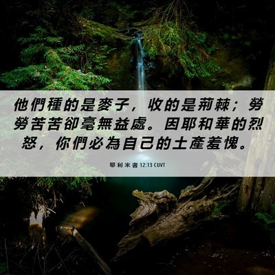 Picture 06 - 耶 利 米 書 12:13 CUVT - 他 們 種 的 是 麥 子 ， 收 的 是 荊 - Bible Verse Picture