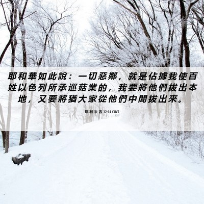 Picture 06 - 耶 利 米 書 12:14 CUVT - 耶 和 華 如 此 說 ： 一 切 惡 鄰 ， - Bible Verse Picture