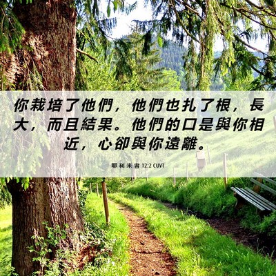 Picture 06 - 耶 利 米 書 12:2 CUVT - 你 栽 培 了 他 們 ， 他 們 也 扎 了 - Bible Verse Picture