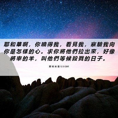 Picture 06 - 耶 利 米 書 12:3 CUVT - 耶 和 華 啊 ， 你 曉 得 我 ， 看 見 - Bible Verse Picture
