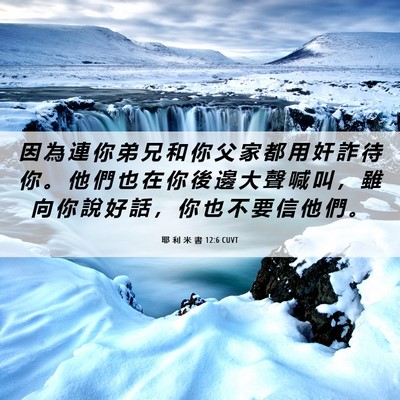 Picture 06 - 耶 利 米 書 12:6 CUVT - 因 為 連 你 弟 兄 和 你 父 家 都 用 - Bible Verse Picture