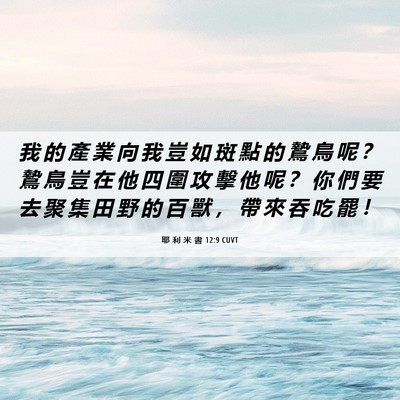 Picture 06 - 耶 利 米 書 12:9 CUVT - 我 的 產 業 向 我 豈 如 斑 點 的 鷙 - Bible Verse Picture