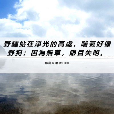 Picture 06 - 耶 利 米 書 14:6 CUVT - 野 驢 站 在 淨 光 的 高 處 ， 喘 氣 - Bible Verse Picture