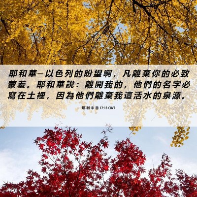 Picture 06 - 耶 利 米 書 17:13 CUVT - 耶 和 華 ─ 以 色 列 的 盼 望 啊 ， - Bible Verse Picture