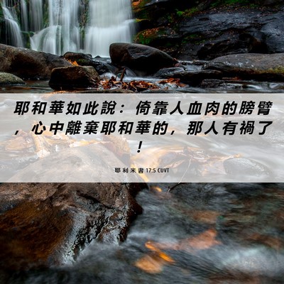 Picture 06 - 耶 利 米 書 17:5 CUVT - 耶 和 華 如 此 說 ： 倚 靠 人 血 肉 - Bible Verse Picture