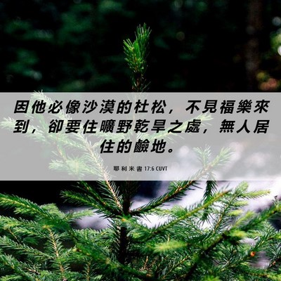 Picture 06 - 耶 利 米 書 17:6 CUVT - 因 他 必 像 沙 漠 的 杜 松 ， 不 見 - Bible Verse Picture