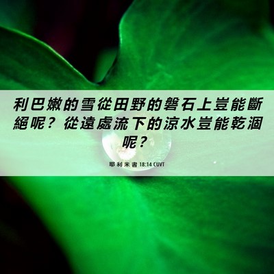 Picture 06 - 耶 利 米 書 18:14 CUVT - 利 巴 嫩 的 雪 從 田 野 的 磐 石 上 - Bible Verse Picture