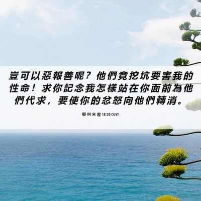 Picture 06 - 耶 利 米 書 18:20 CUVT - 豈 可 以 惡 報 善 呢 ？ 他 們 竟 挖 - Bible Verse Picture