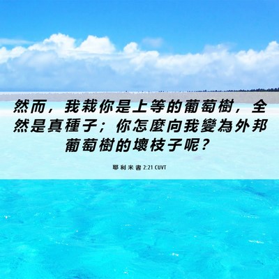 Picture 06 - 耶 利 米 書 2:21 CUVT - 然 而 ， 我 栽 你 是 上 等 的 葡 萄 - Bible Verse Picture