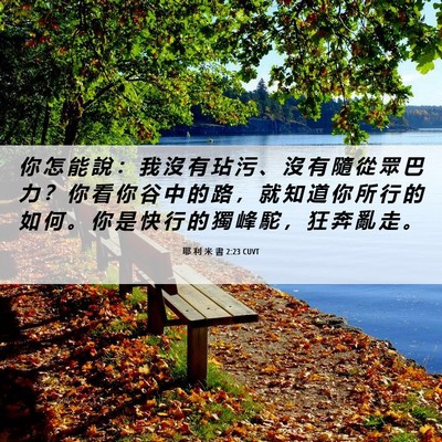 Picture 06 - 耶 利 米 書 2:23 CUVT - 你 怎 能 說 ： 我 沒 有 玷 污 、 沒 - Bible Verse Picture