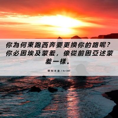 Picture 06 - 耶 利 米 書 2:36 CUVT - 你 為 何 東 跑 西 奔 要 更 換 你 的 - Bible Verse Picture