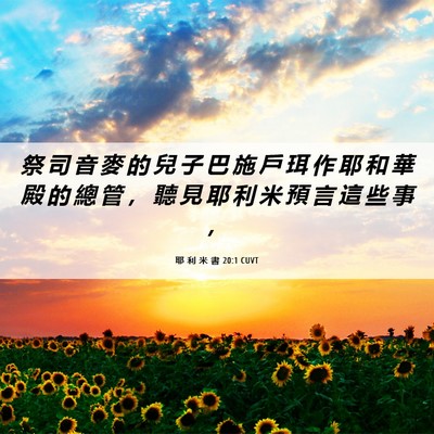 Picture 06 - 耶 利 米 書 20:1 CUVT - 祭 司 音 麥 的 兒 子 巴 施 戶 珥 作 - Bible Verse Picture