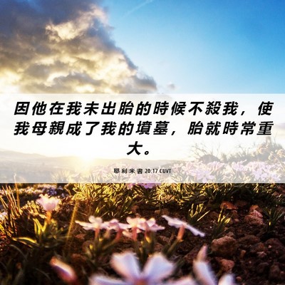 Picture 06 - 耶 利 米 書 20:17 CUVT - 因 他 在 我 未 出 胎 的 時 候 不 殺 - Bible Verse Picture